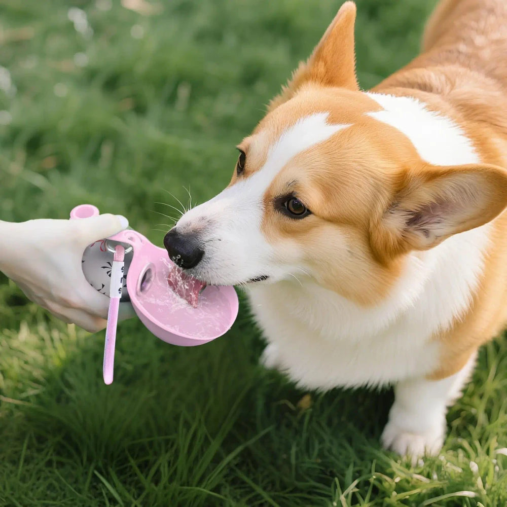 Portable Stainless Dog Water Bottle