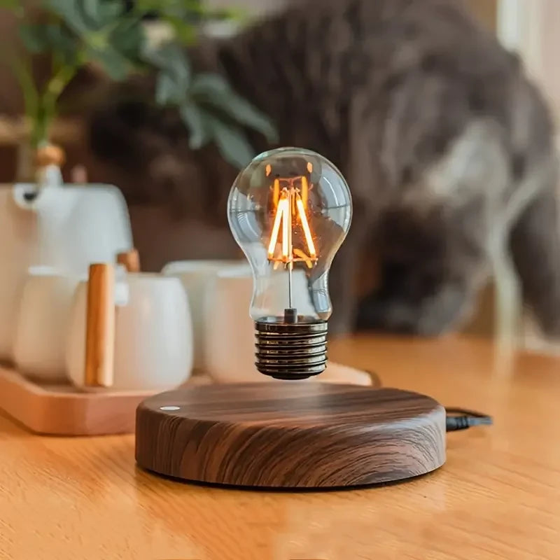 Levitating Magnetic Moon Lamp