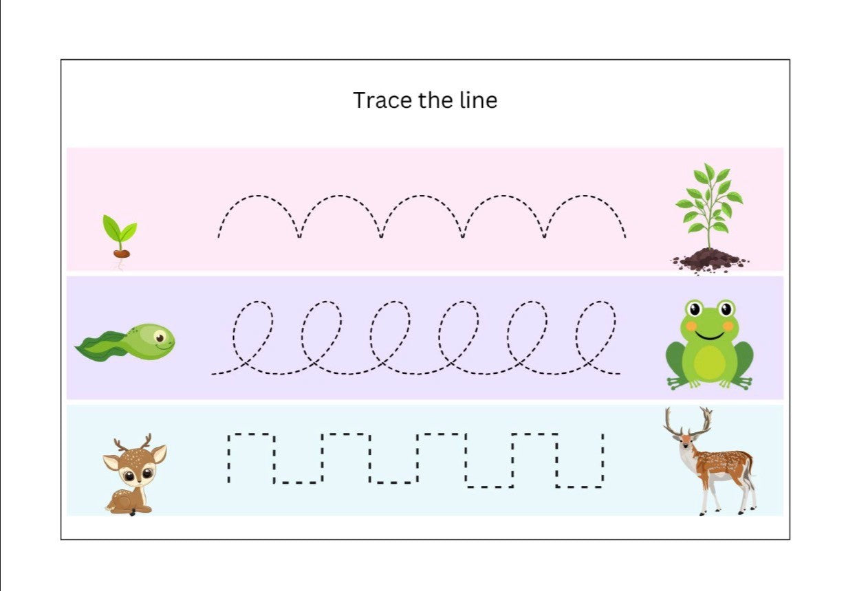 Kids Activity Book (Digital Download)